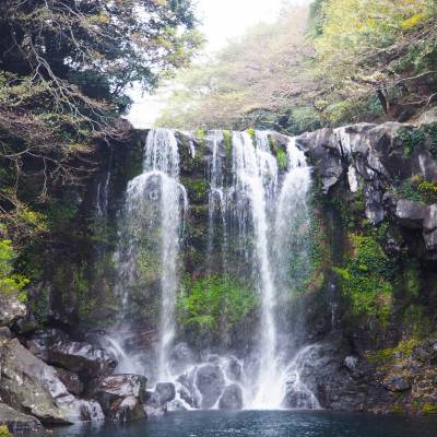 Jeju West Coast Shared Transport Tour (7 passengers max)