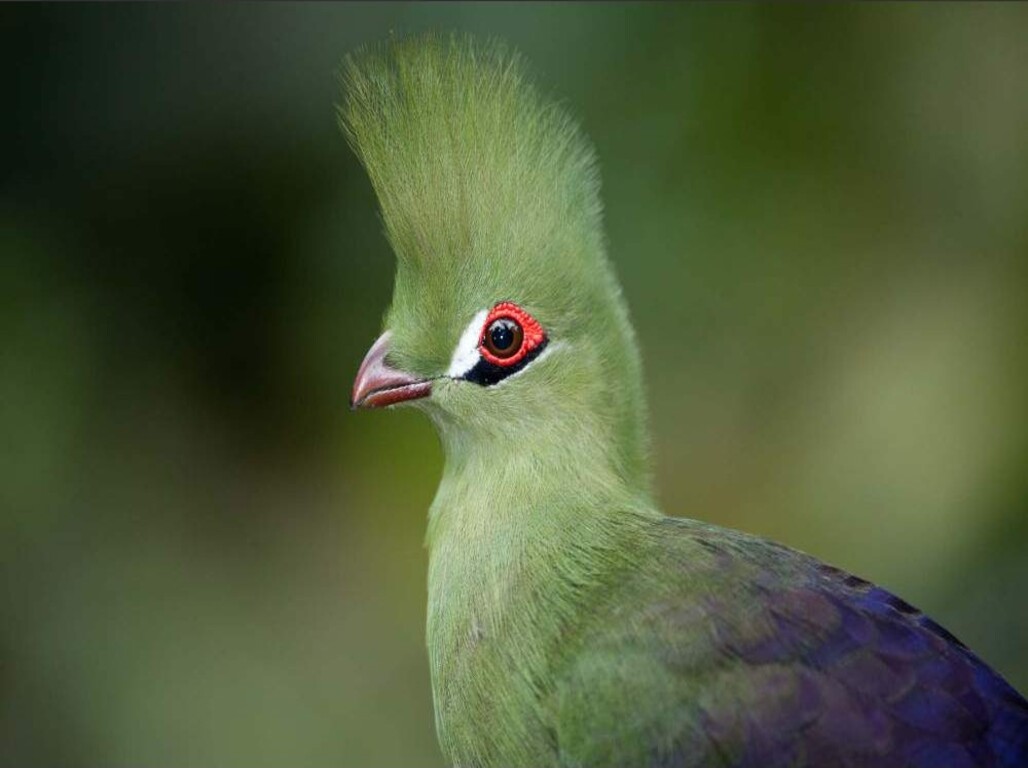 Tour privado por la Ruta Jardín: paisajes, naturaleza y romance – 4 días