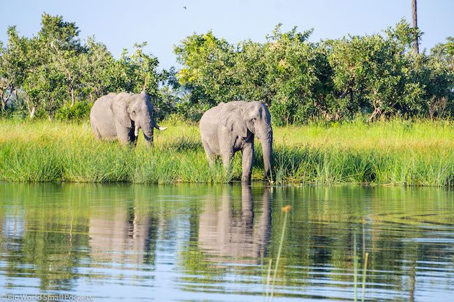 3-Day Chobe and Okavango Wildlife Safari