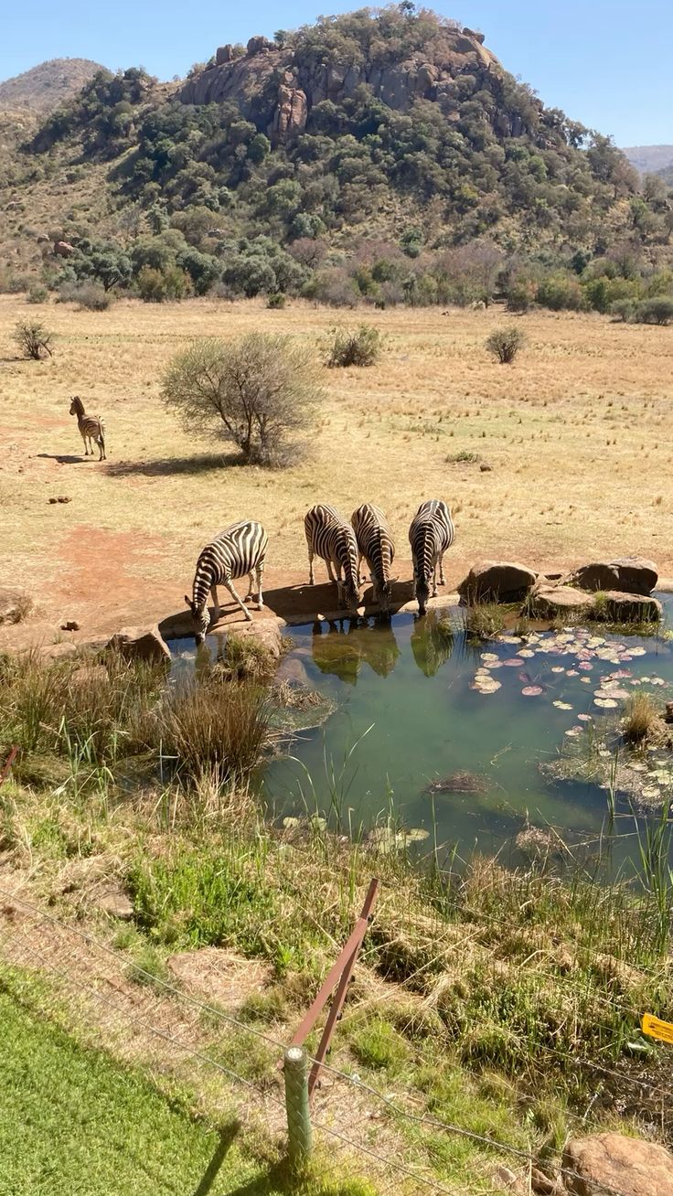 2-Day Luxury Kruger Safari – Big Five Adventure