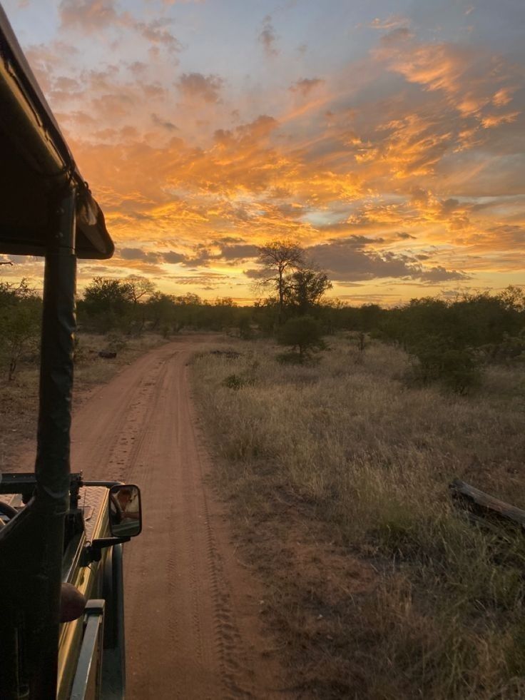 1-Day Kruger Safari at Sunset – Chase the Big Five at Dusk