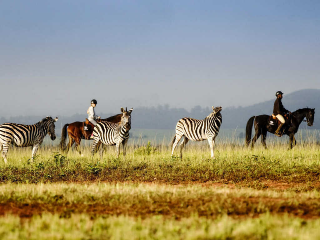 2-Day Eswatini Tour – Add-On to Your Safari