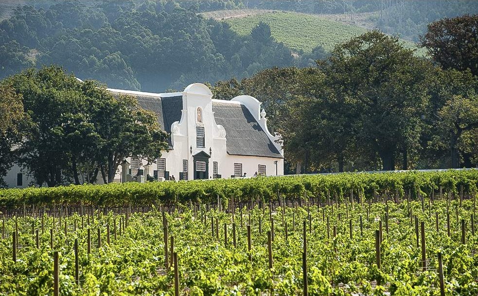 Recorrido por las Tierras Vinícolas del Cabo – Medio Día
