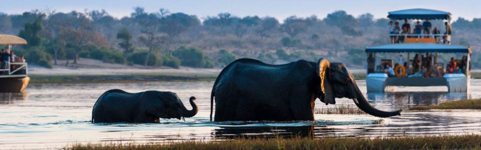 2  Chobe adventure at elephant valley lodge