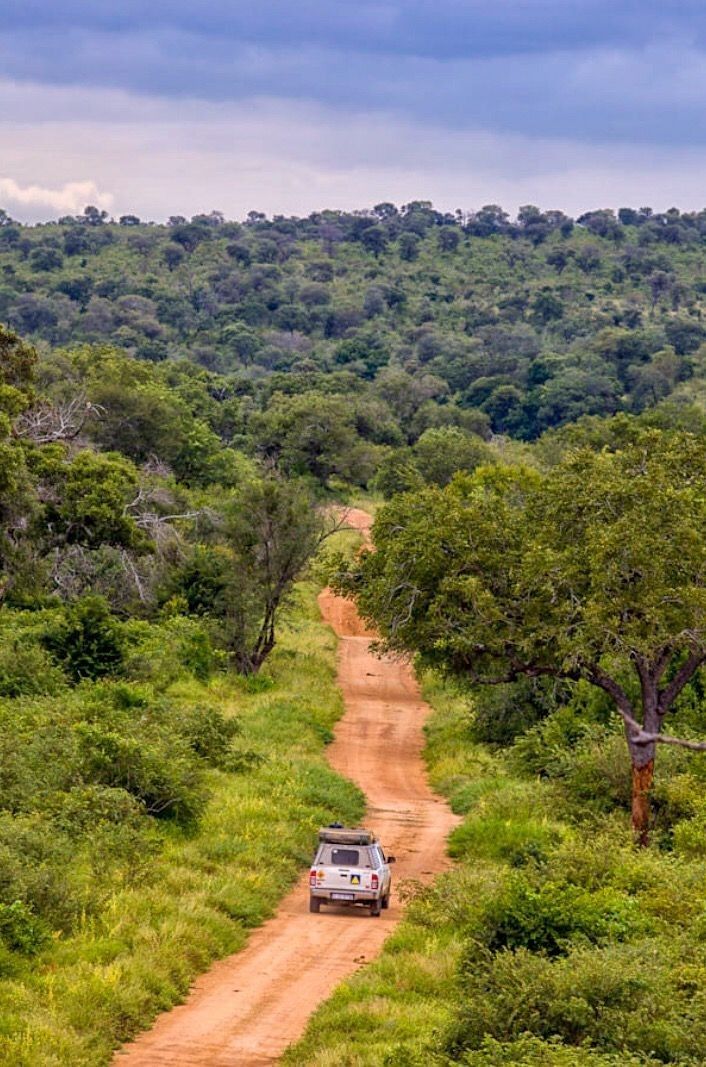 1-Day Kruger Safari at Sunset – Chase the Big Five at Dusk