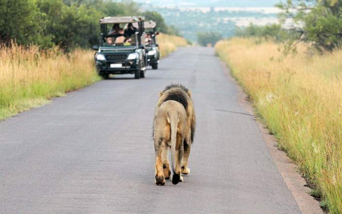 Safari clásico de gama media en Kwa Maritane – 2 días