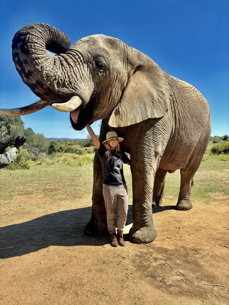 Encuentro con elefantes y experiencia en santuario – 1 día