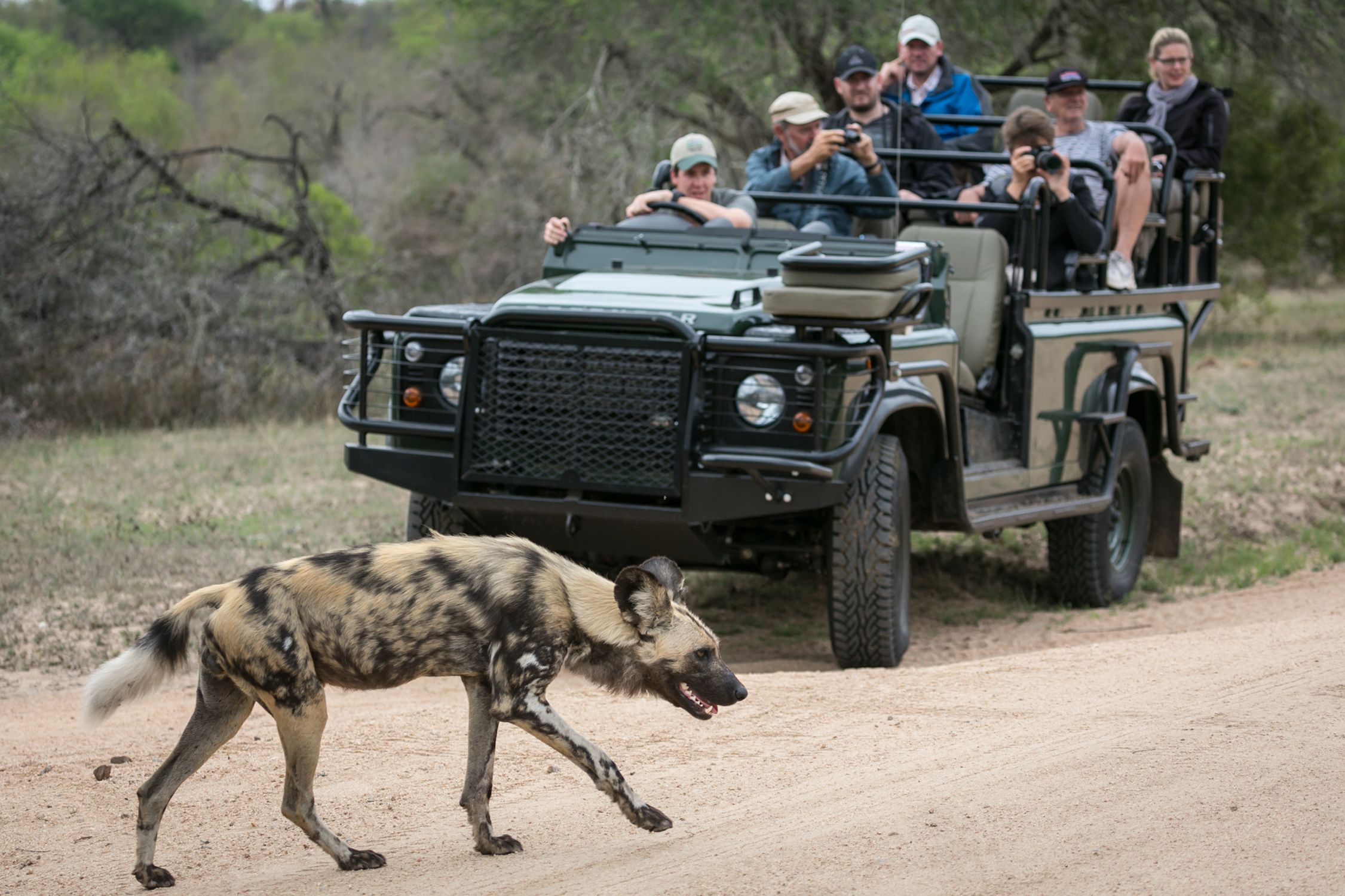 3-Day Wildlife Safari at Langa Langa Safari Camp