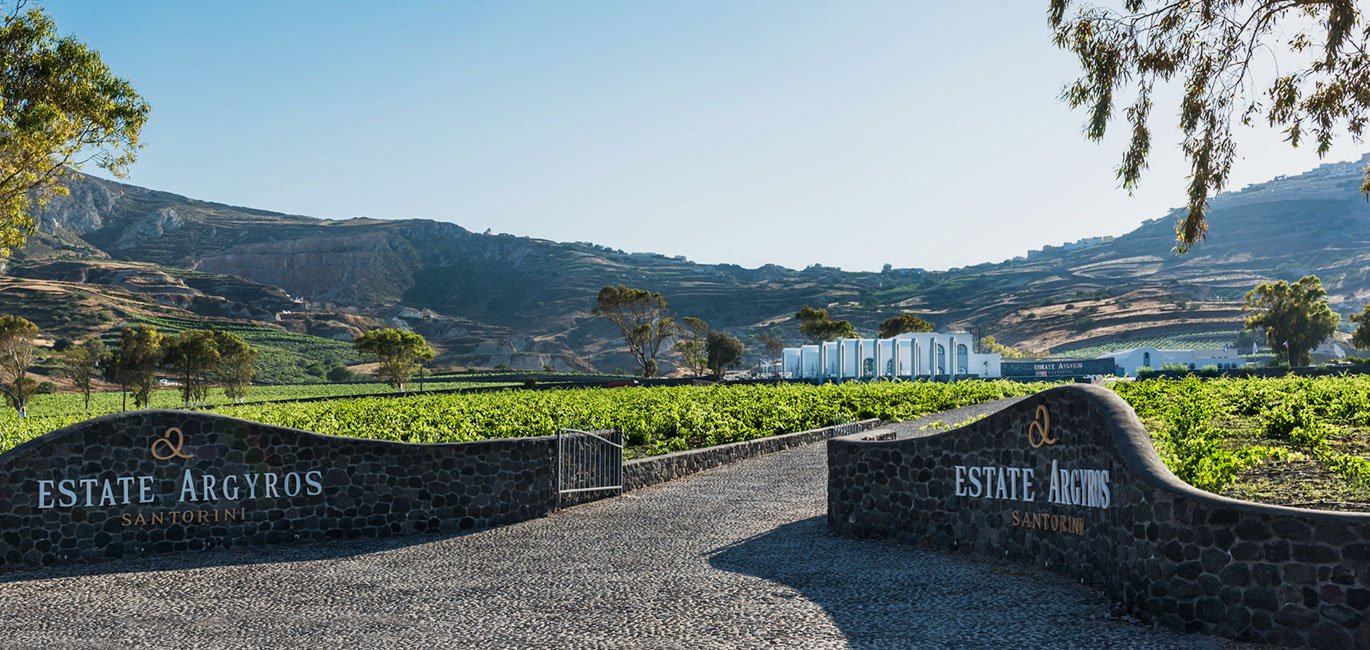 Santorini Wine & Sunset Signature Experience Tour gallery