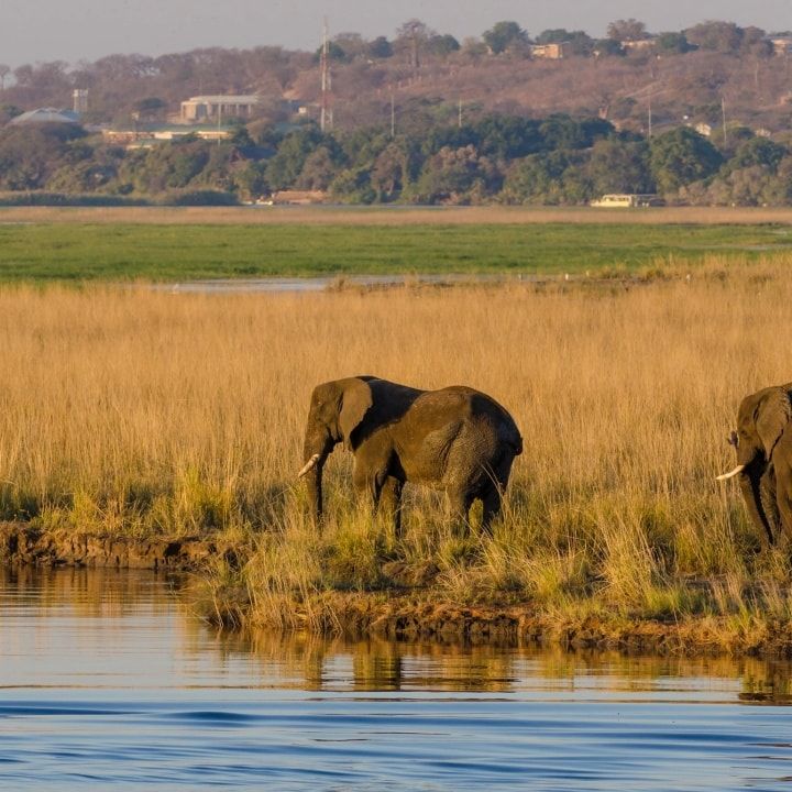 3-Day Chobe Safari Adventure -Boat Cruises & Game Drives