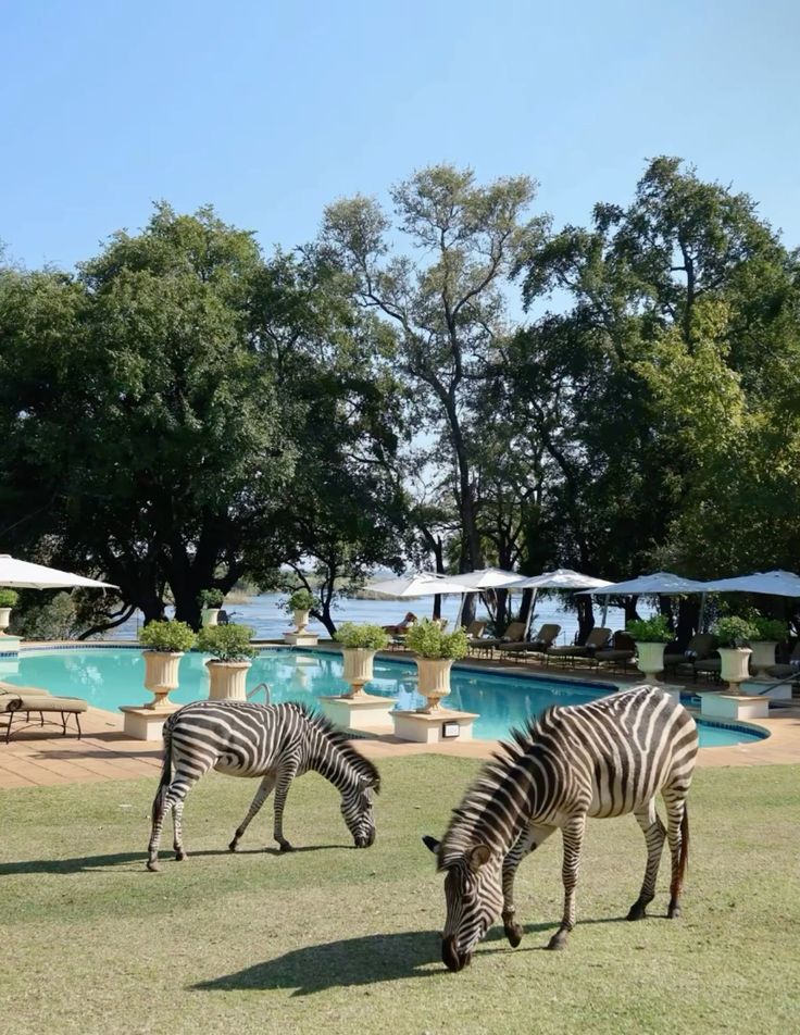 15-Day Southern Africa Adventure: Wildlife, Cities & Culture