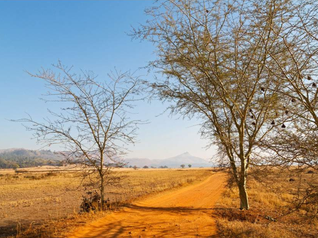 4-Day Eswatini Cultural & Wildlife Experience