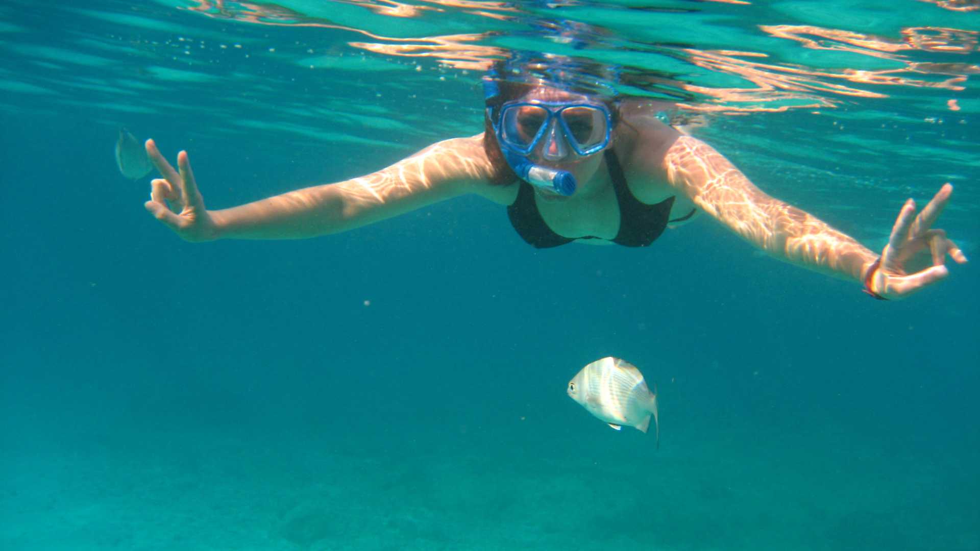 Cala Gonone: snorkeling in the Orosei Gulf - Photo 11