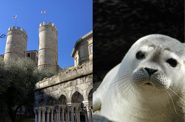 Genoa Aquarium and Columbus' House Genoa Aquarium and Columbus' House