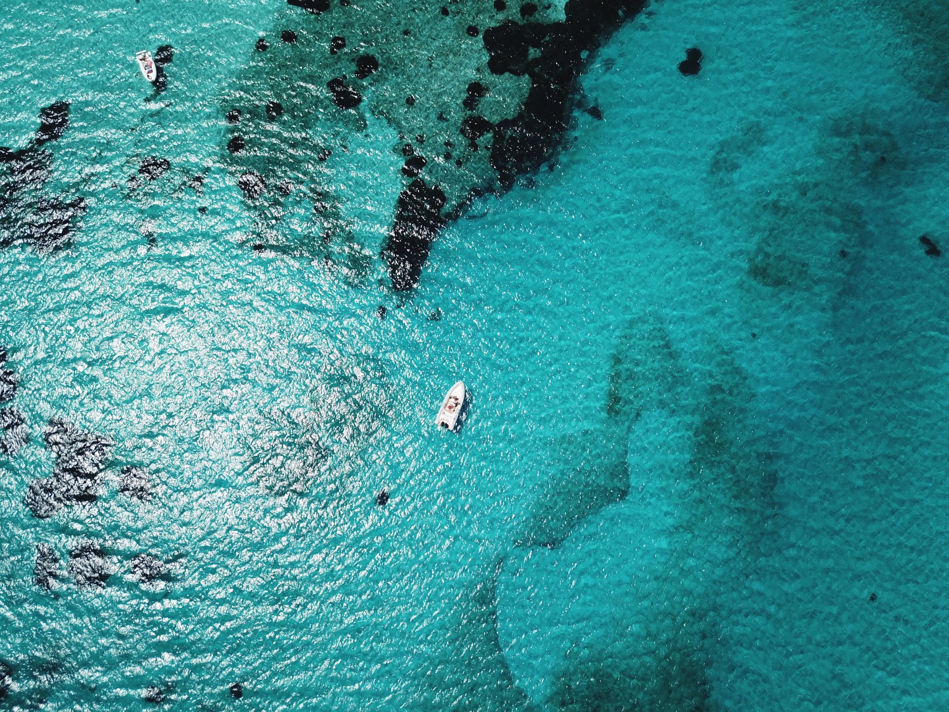 From Stintino: RIB tour in the gulf of Asinara - Photo 6