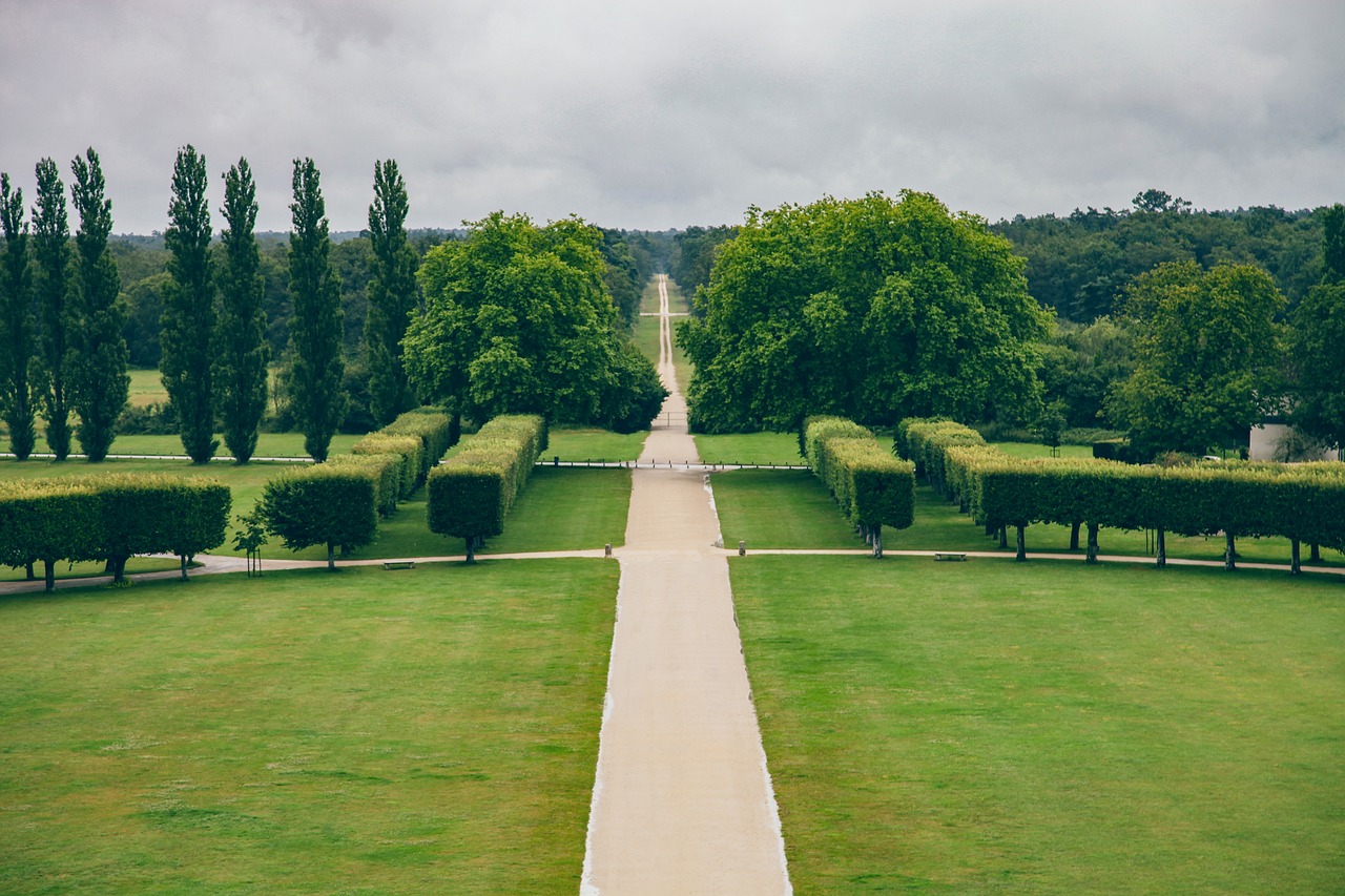 LOIRE VALLEY CASTLES One Day Trip ( Chenonceaux, Chambord & Ambroise) - Photo 4