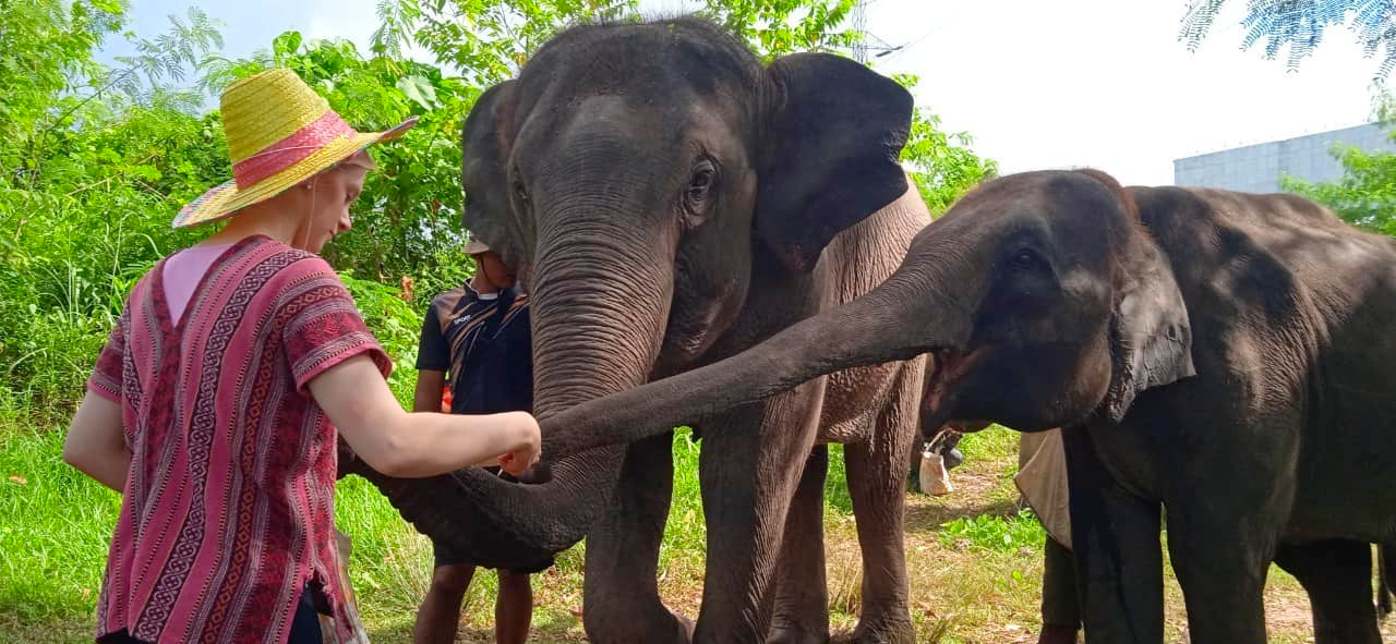 Phuket: Ethical Elephant Sanctuary Experience preview 2