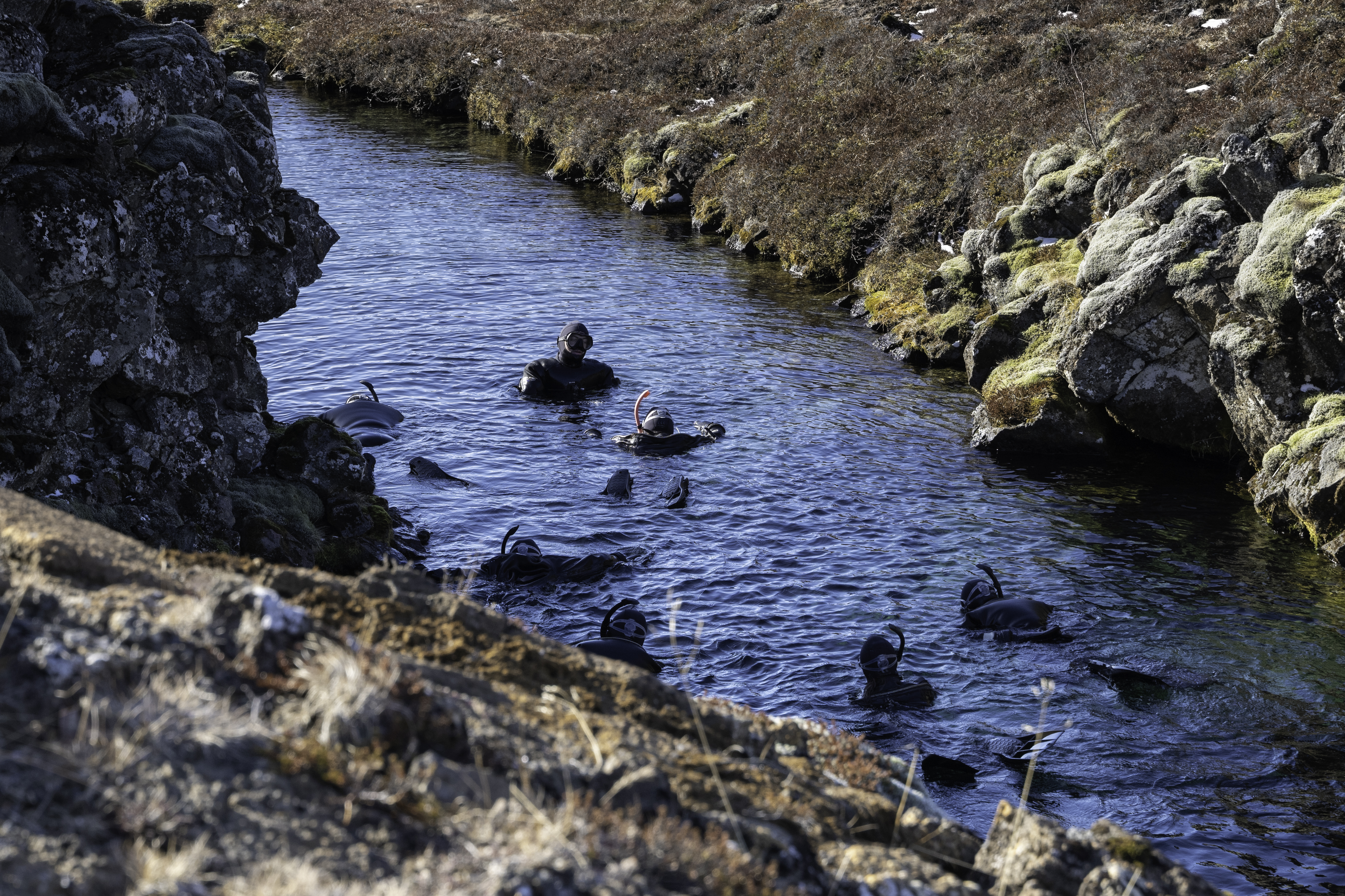 Small group Tour: Golden Snorkel: Golden Circle and Silfra Exploration - photo 13