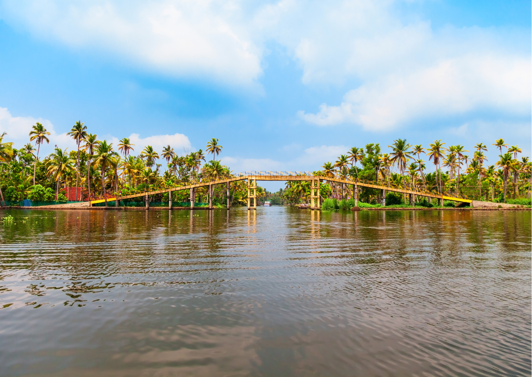 Highlights of the Kochi (Guided Half Day City Tour) - Photo 9