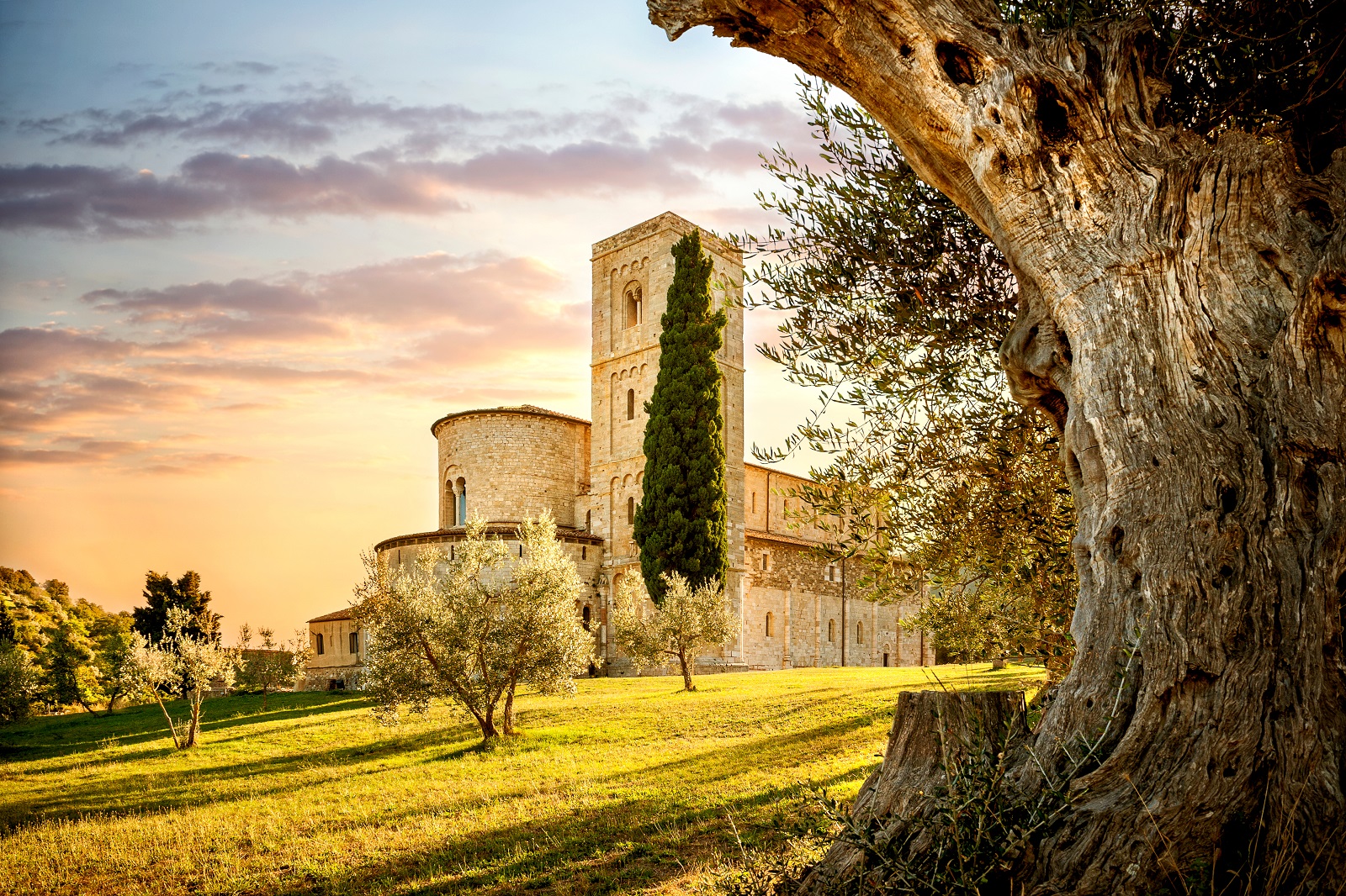 Brunello di Montalcino Wine tour from San Gimignano  - Photo 9