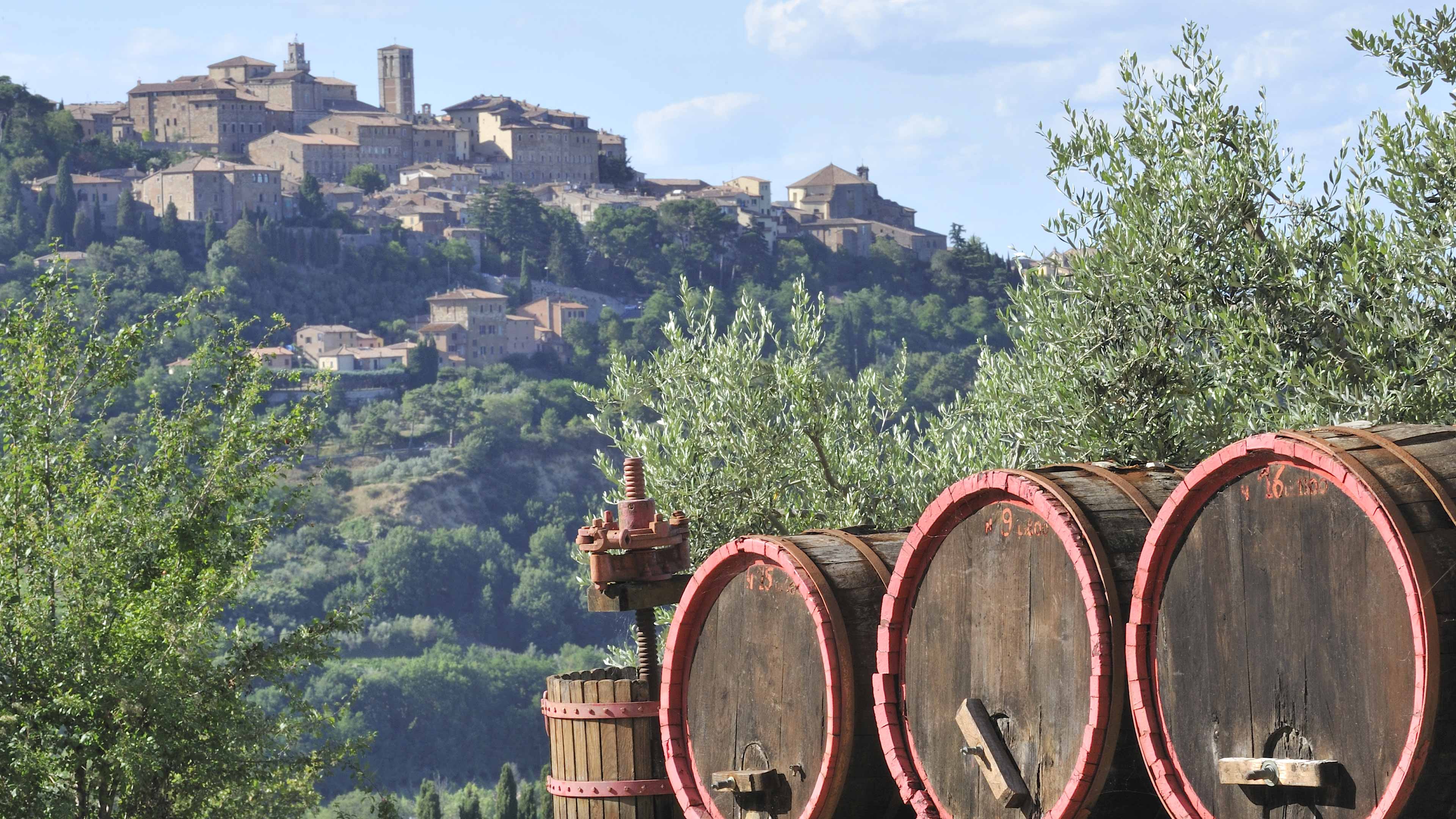 Half-Day Brunello di Montalcino Wine Tour from Siena - Photo 15