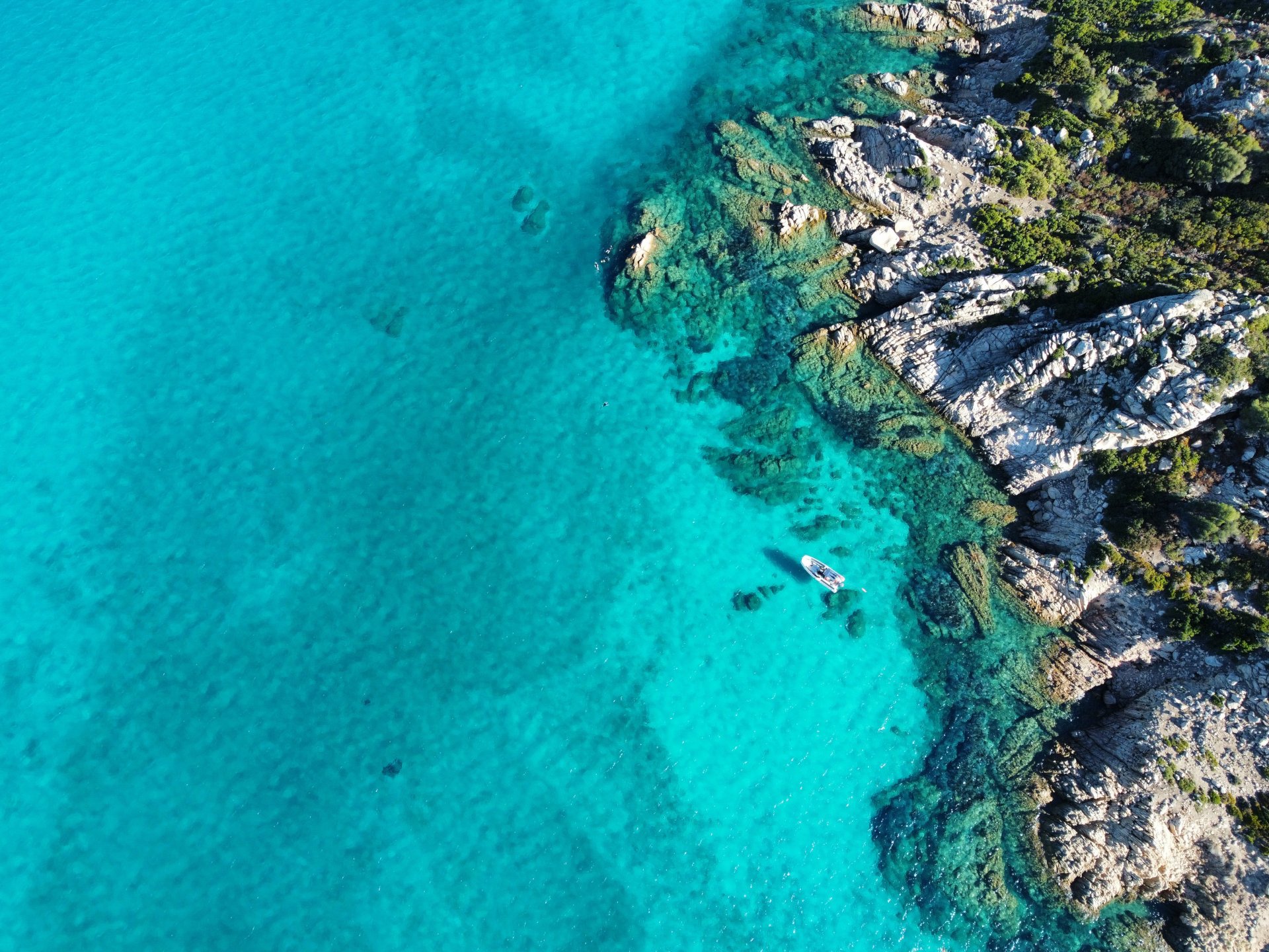 From Puntaldia or San Teodoro: snorkeling at the Molara Pools - Photo 14