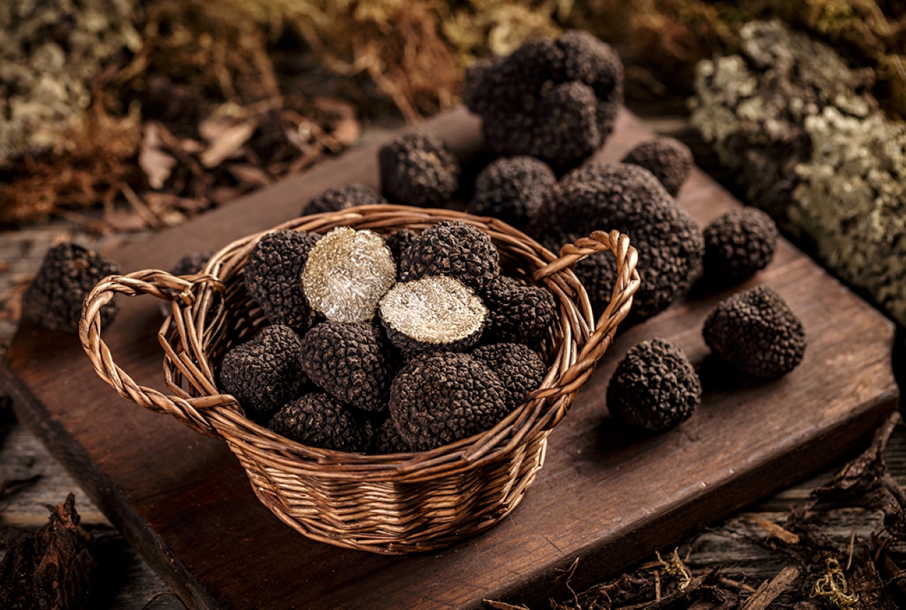 Truffle Experience at Frantoio Buonamici in Fiesole - Photo 17