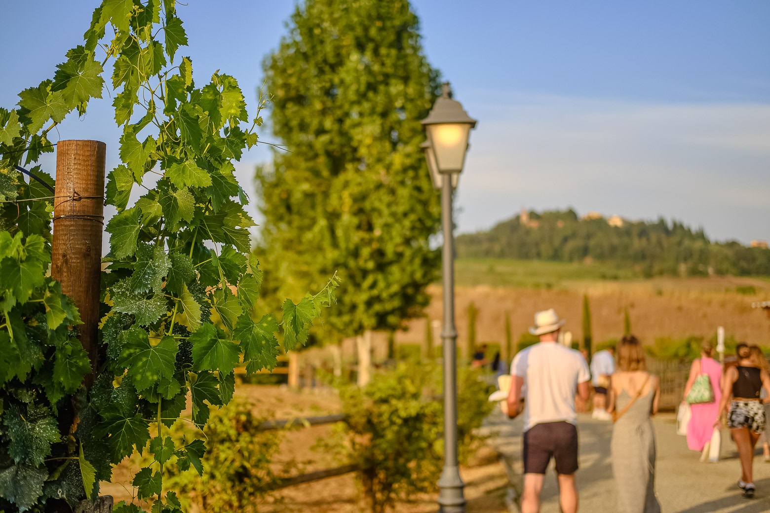Small-Group Winery Tour with Tasting and Dinner in Chianti - Photo 70