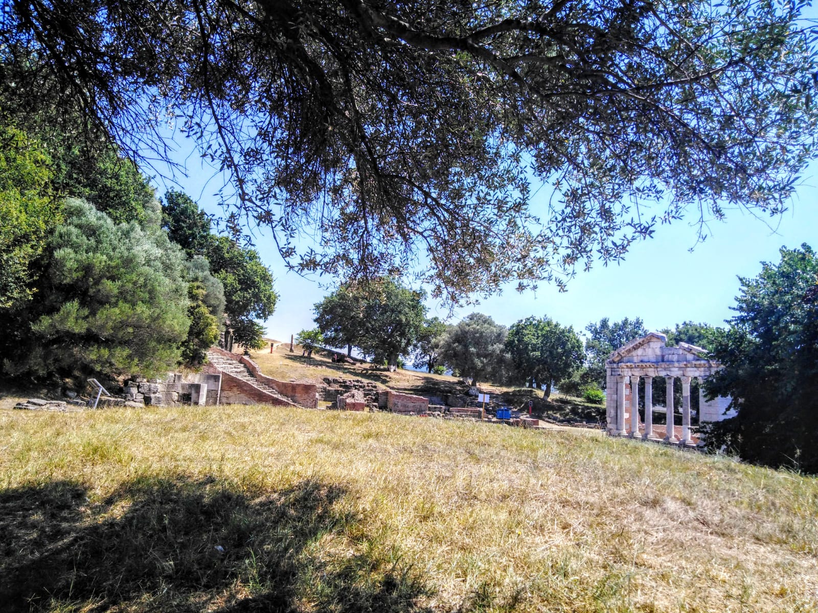 Discover Apollonia Archaeological Park from Fier - Photo 3