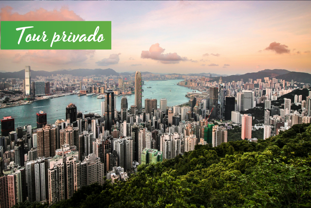 Guided Tour of Hong Kong Island in Private Service - Accommodations in Hong Kong
