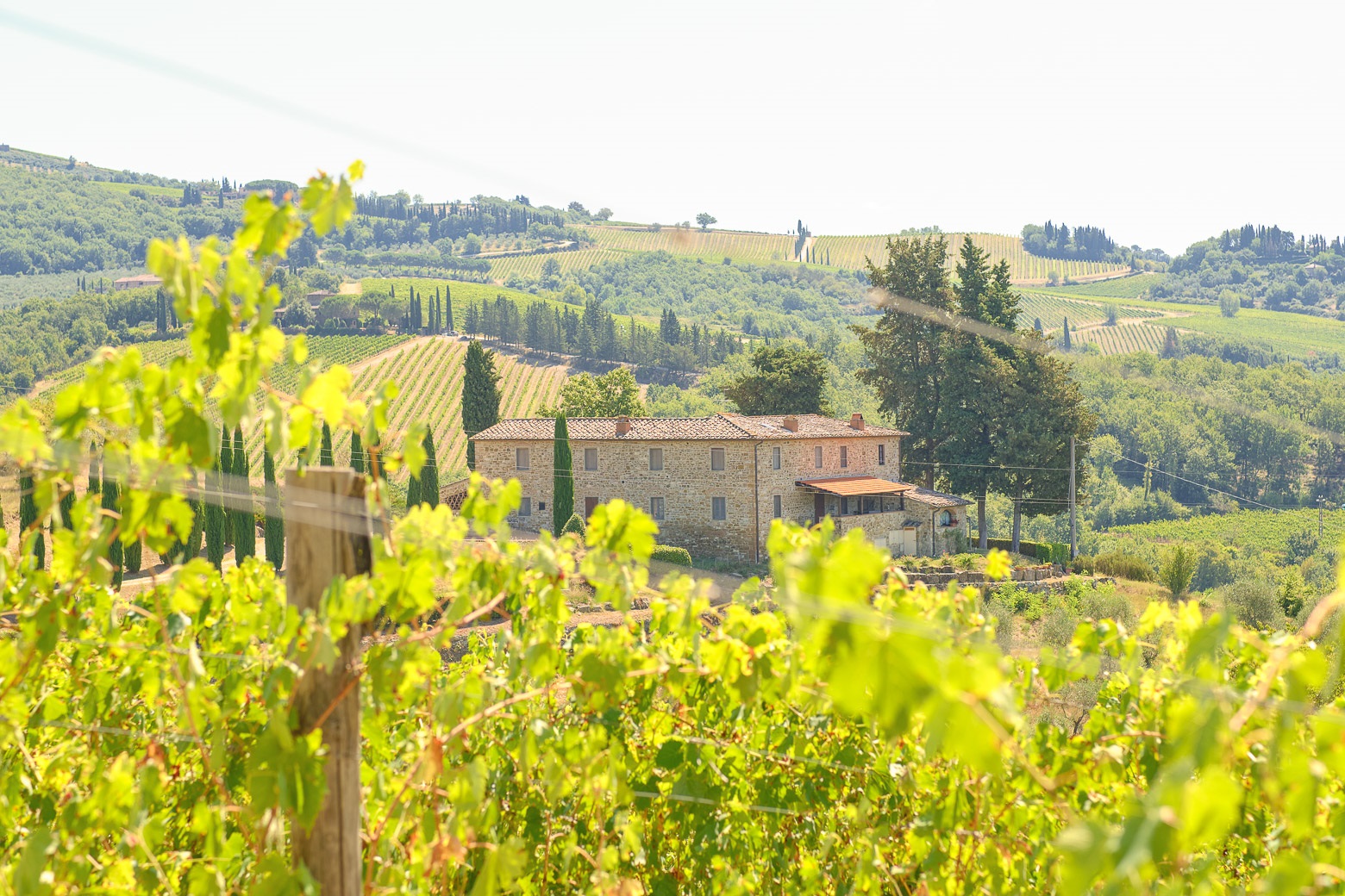 Chianti Vineyards Escape from Florence with Two Wine Tastings from Florence - Photo 34