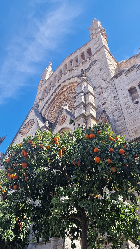 8 Days / 7 nights - Hiking Highlights of Mallorca - Photo 8
