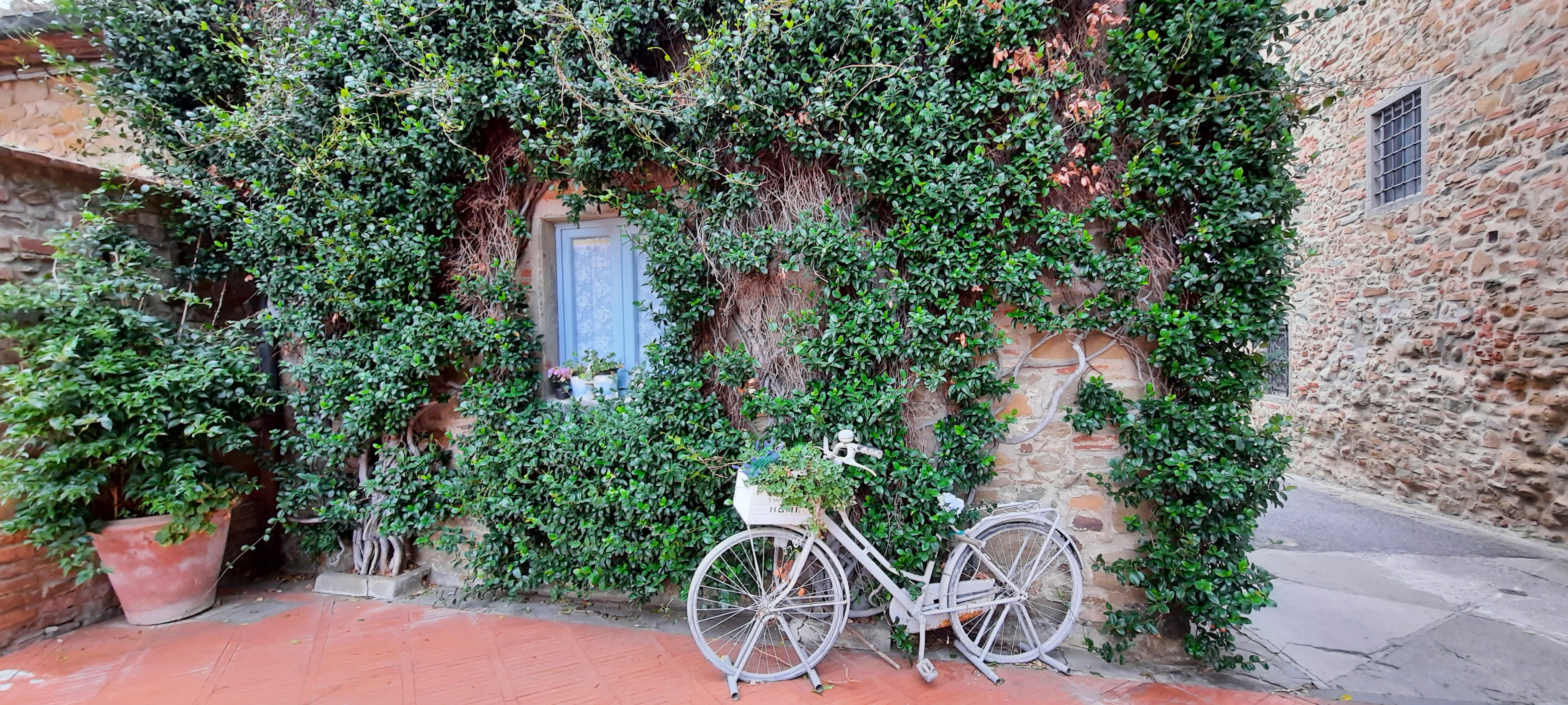 Private Half-Day Tour to Vinci and Leonardo's Roots - Photo 4