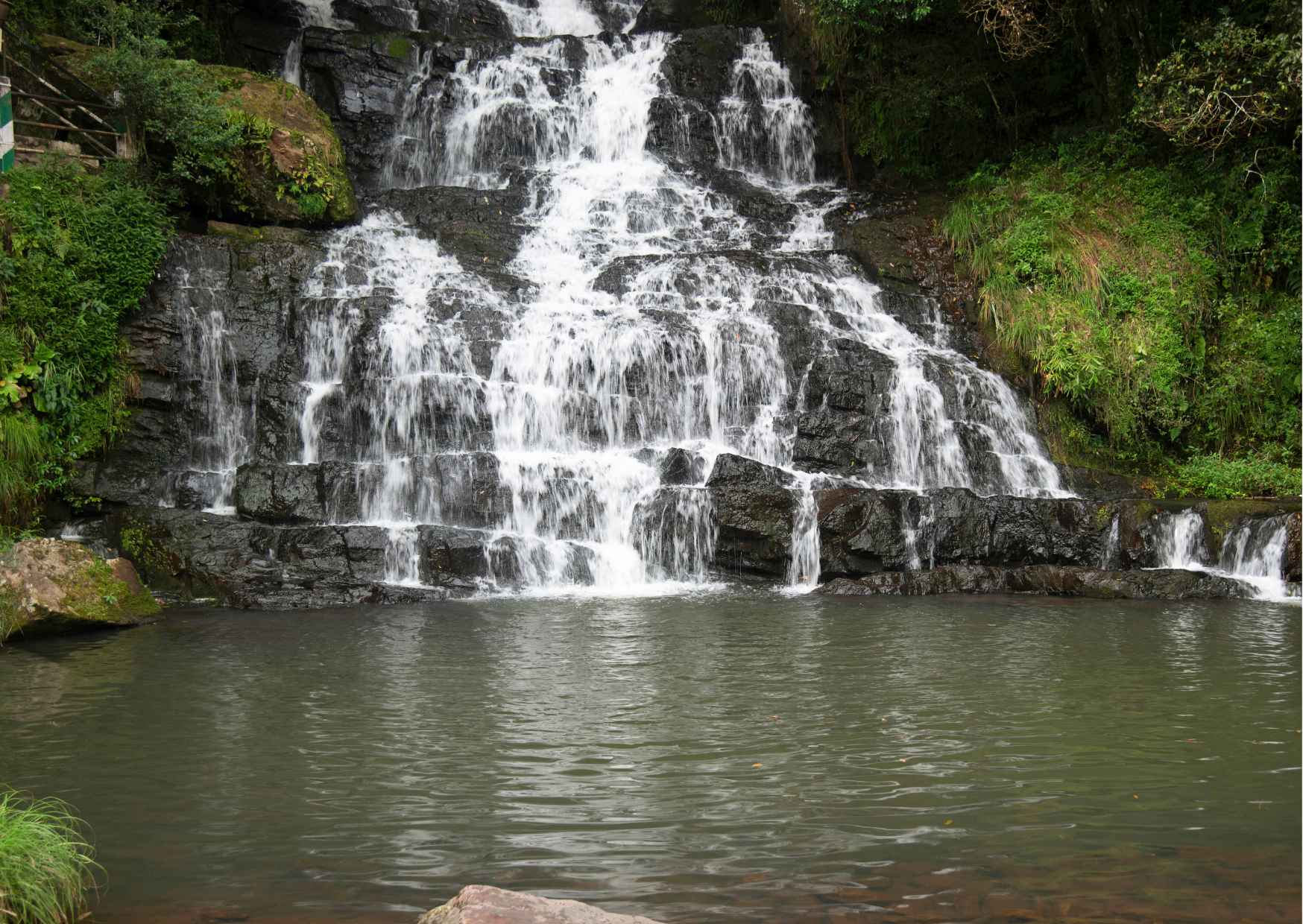 Day Trip to Nature Trails (Guided Private Sightseeing Experience from Shillong) - Photo 7