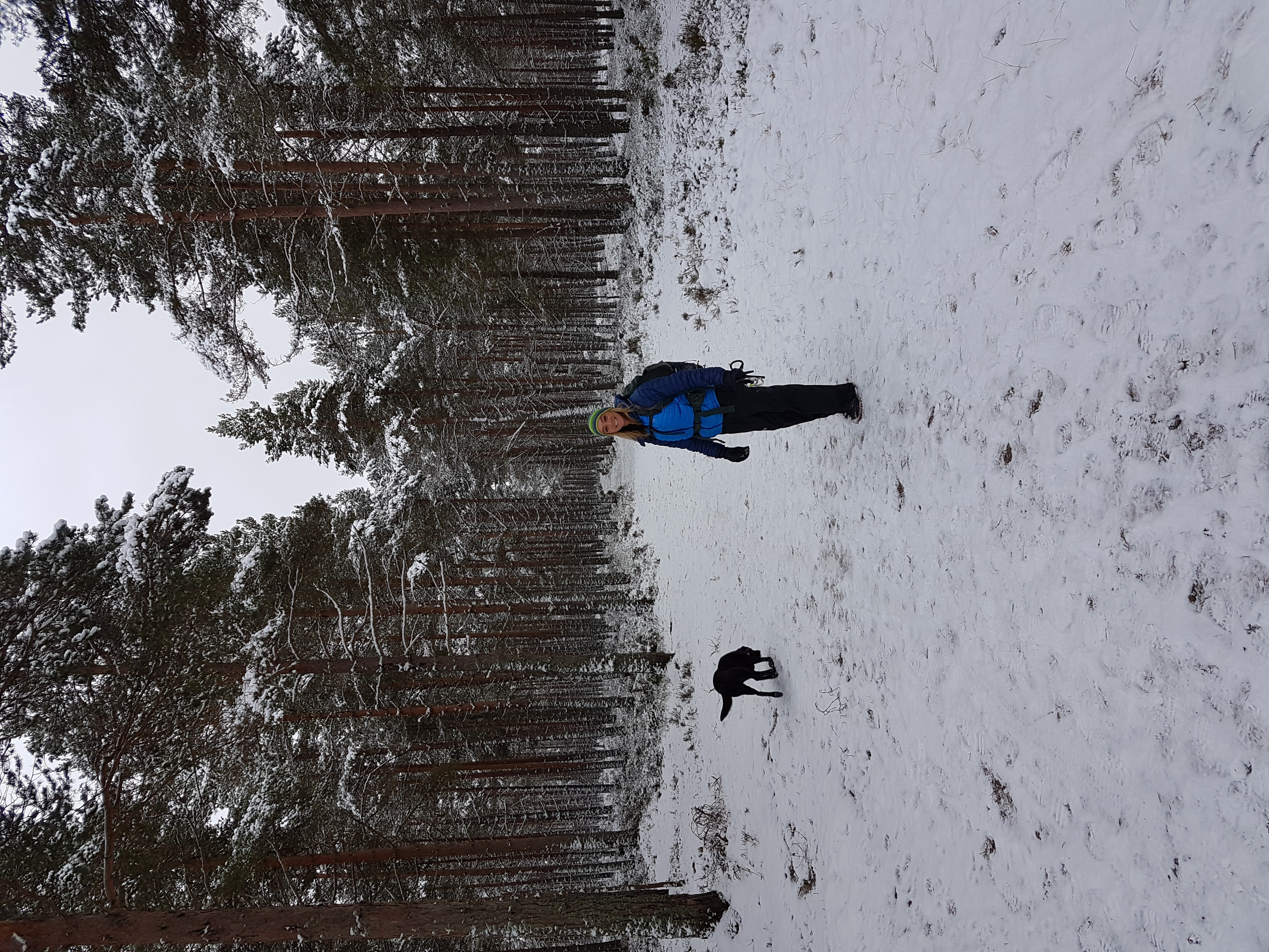 8 Days / 7 nights - New Year Cairngorms Winter Walking Adventure - Photo 3