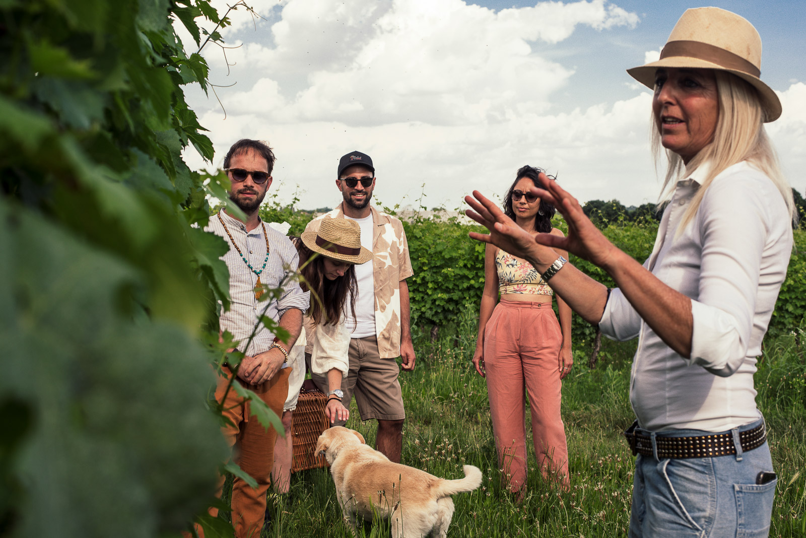 Pic Nic with Wine Tasting in the Vineyards - Photo 3
