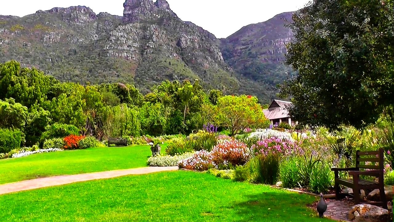 Tours privados en Ciudad del Cabo que incluyen Table Mountain y Kirstenbosch