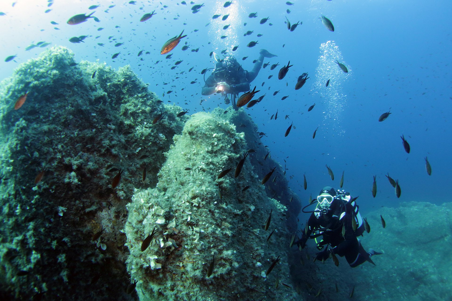 From San Teodoro: diving for professionals in Tavolara and Molara - Photo 7