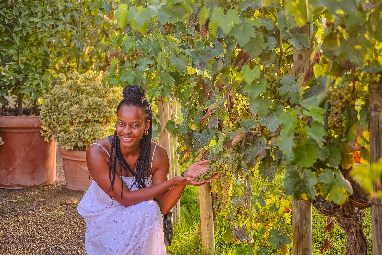 Small-Group Winery Tour with Tasting and Dinner in Chianti - Photo 78