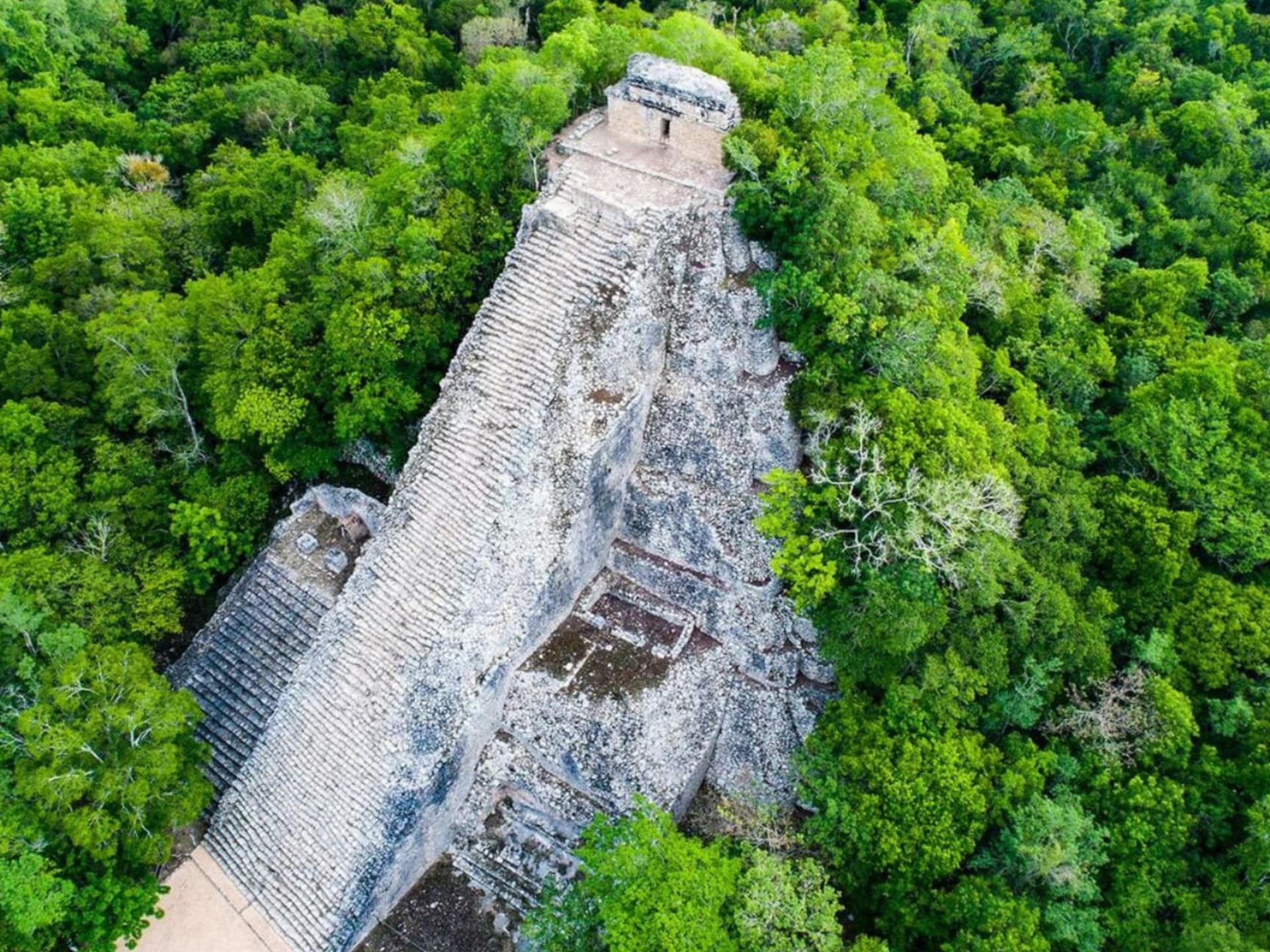 Excursión Tulum Coba 4x1 + Cenote + Playa del Carmen