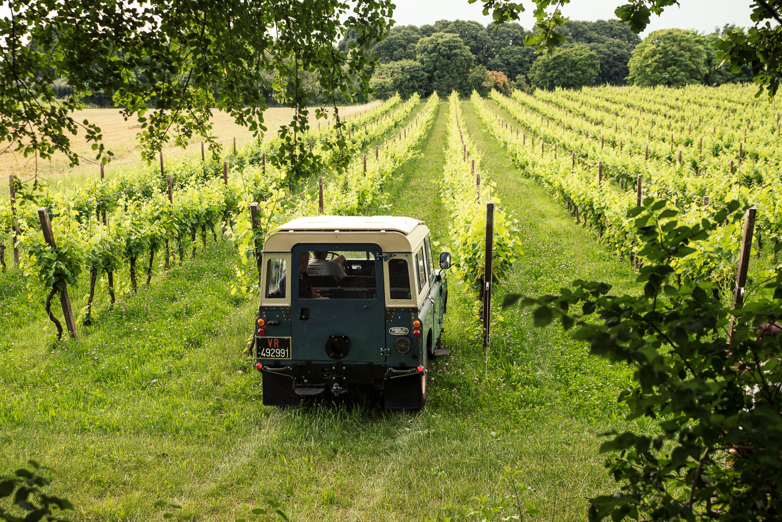 4x4 Vineyard Tour with WineTasting Experience - Photo 4