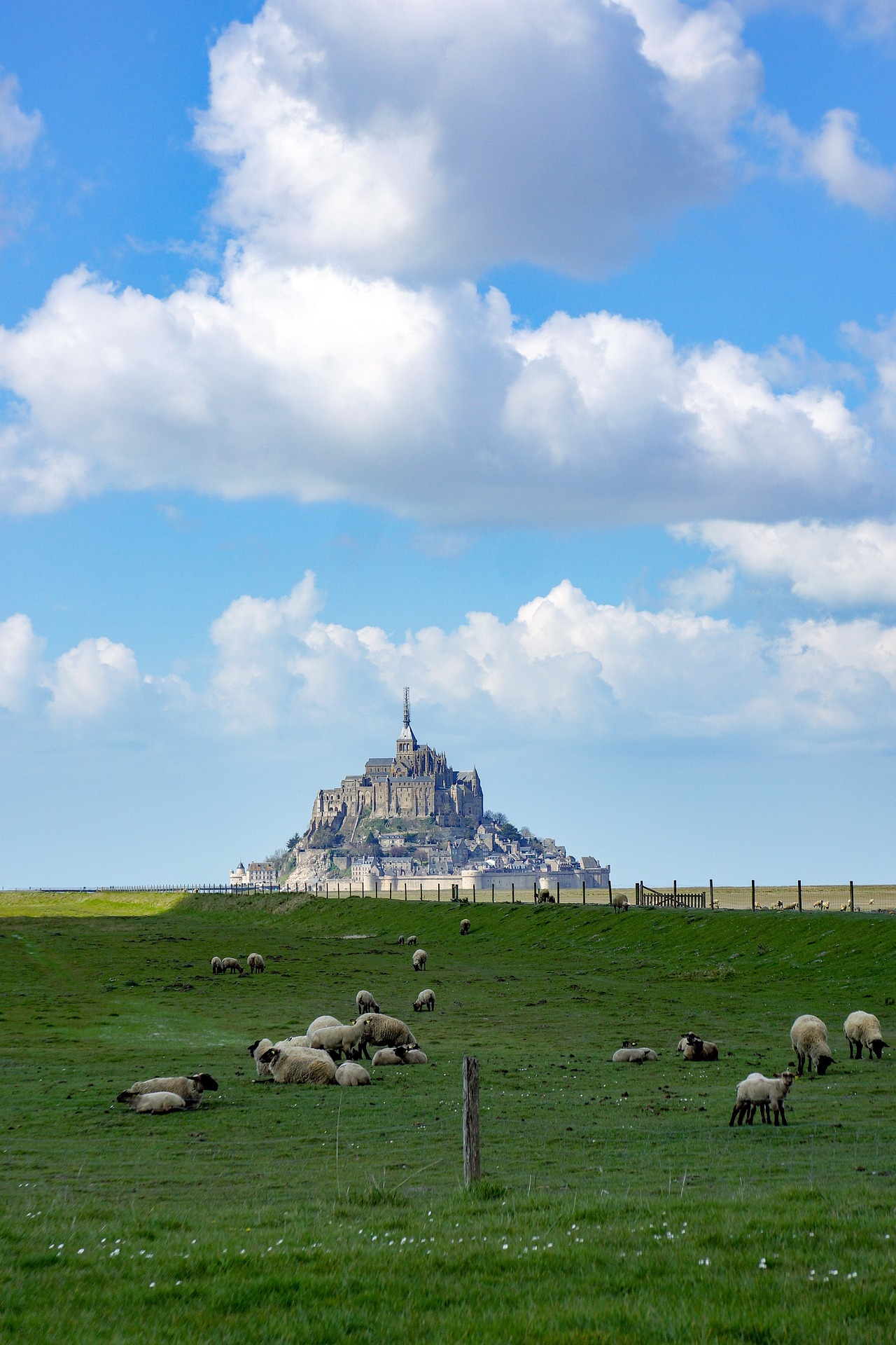 MONT-SAINT-MICHEL One Day Trip - driver  - Photo 4