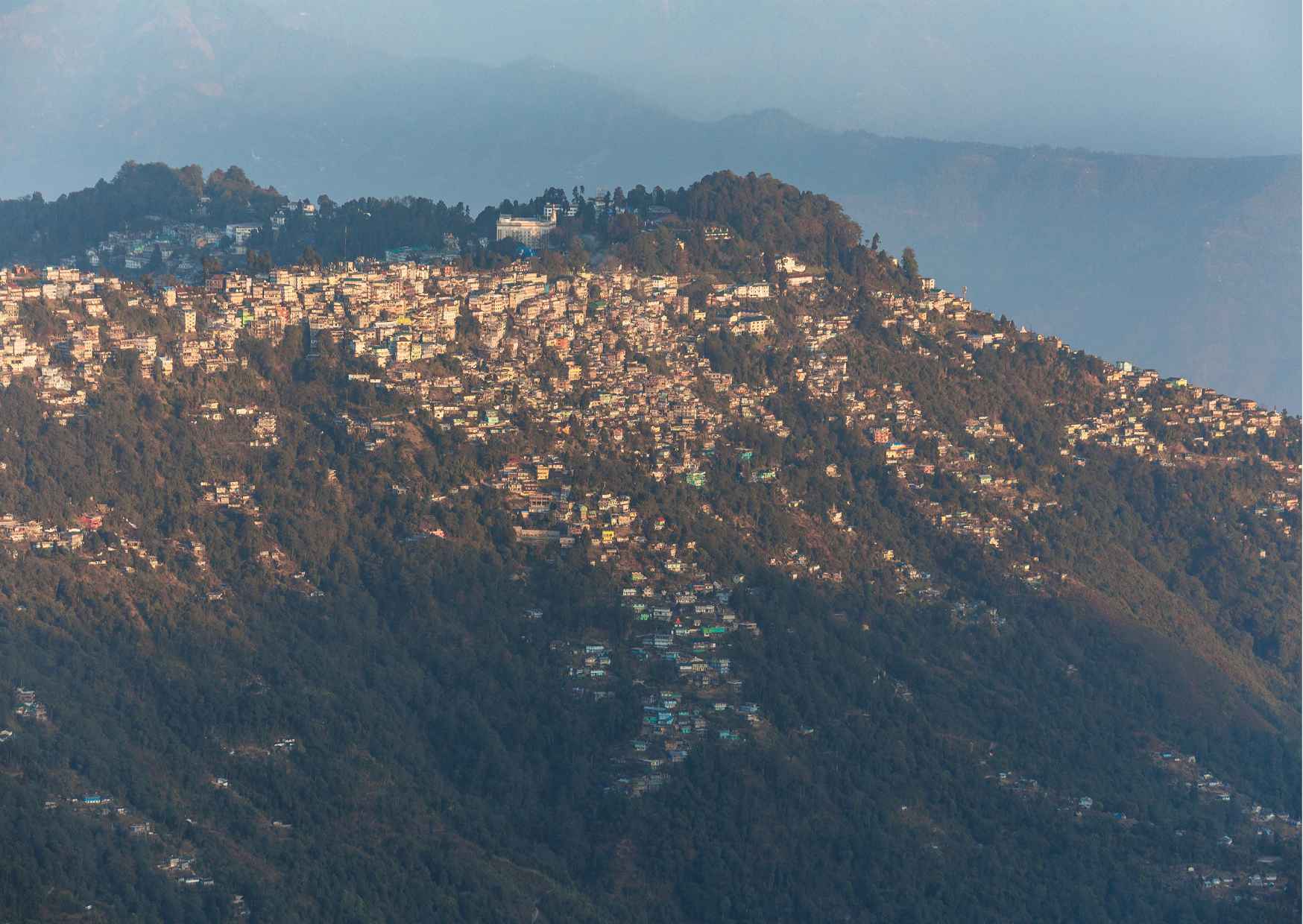 Tiger Hill Darjeeling Nature Walk (3 Hours Guided Trekking Experience) - Photo 8