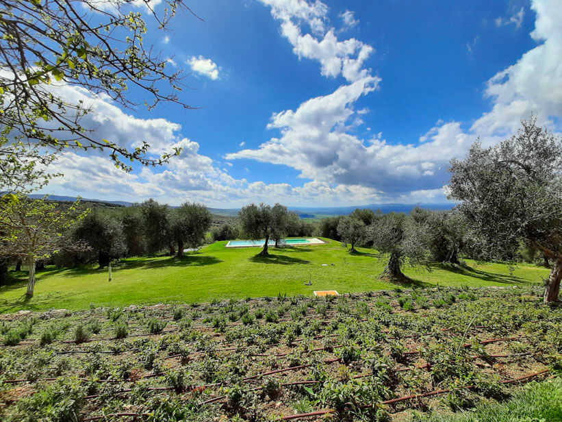 3 days as a Winemaker in Wine Resort in Tuscany - Photo 8