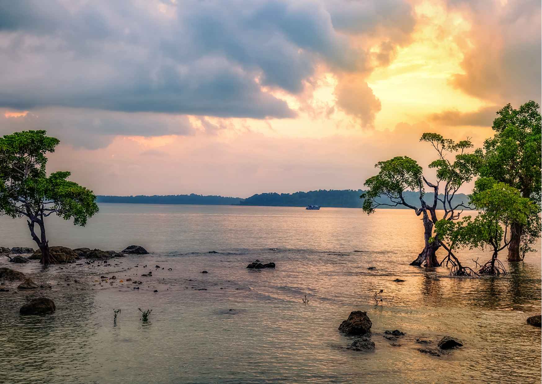 Best of Port Blair (Guided Halfday Sightseeing Tour by Car) - Photo 8