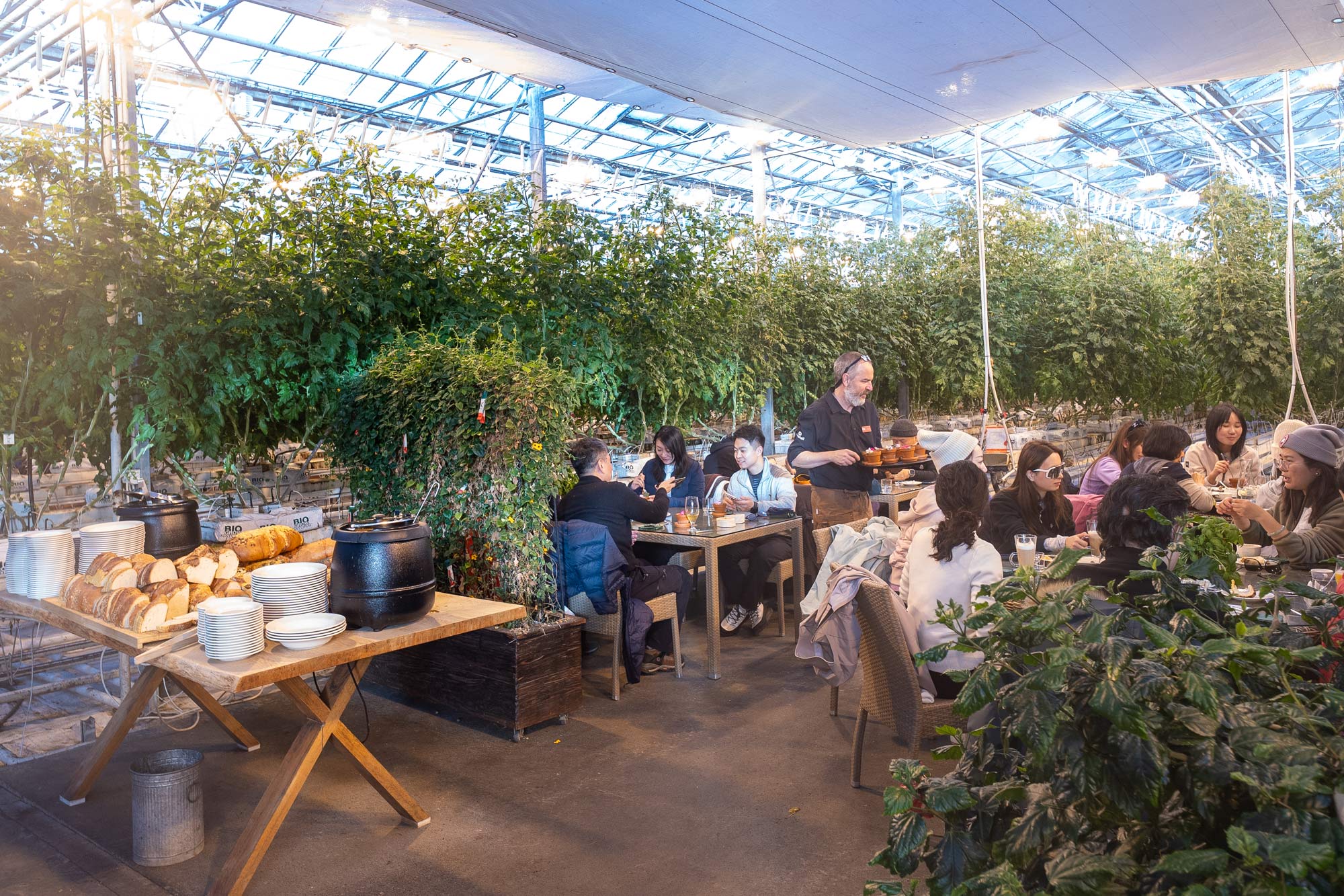 Golden Circle, Friðheimar Tomato Farm & Laugarás Lagoon - photo 13