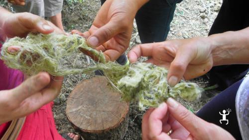 Cilento: discovering the art of broom spinning in Tortorella - Photo 6