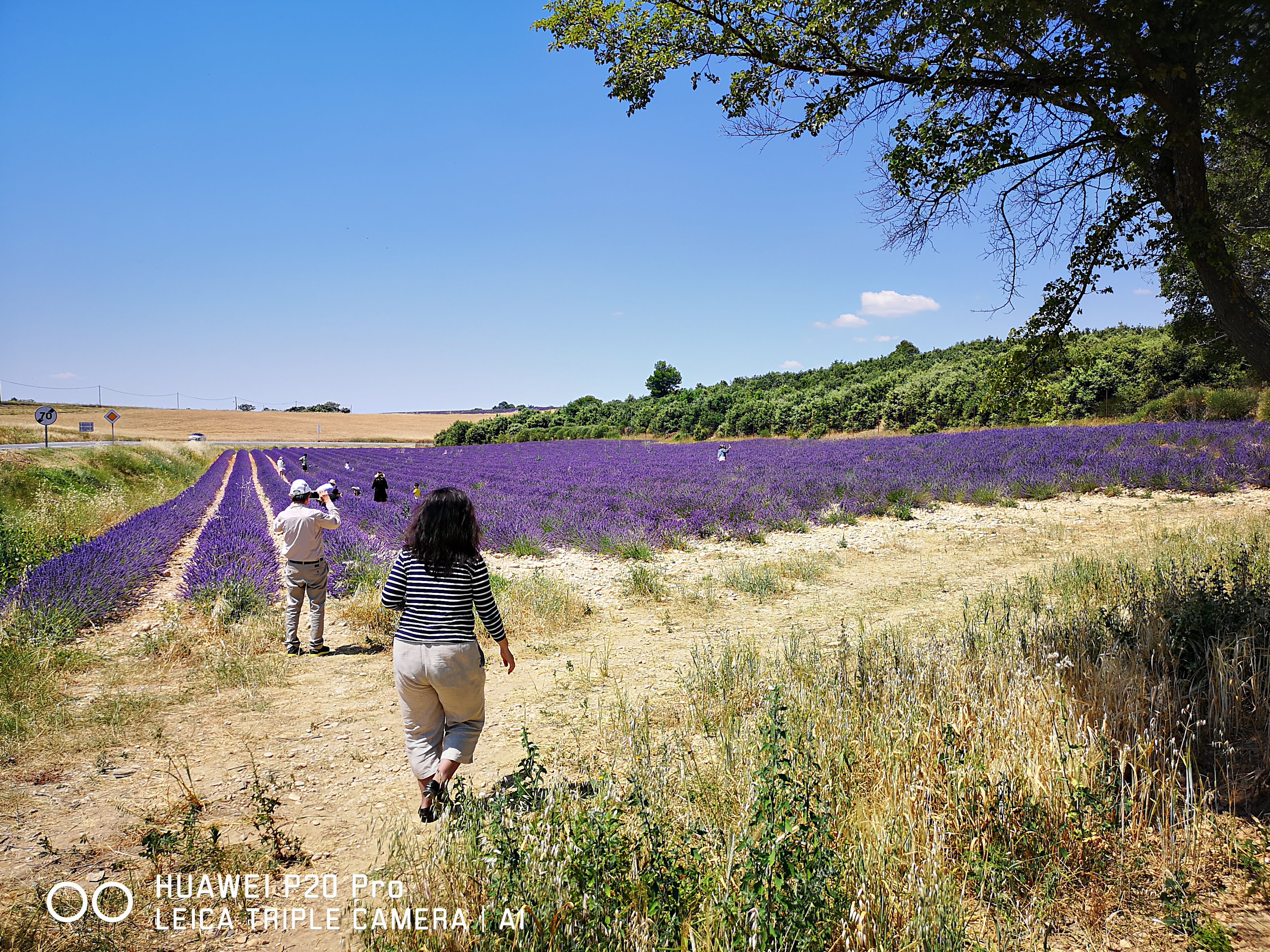 Marseille Shore Excursion: Private Day Trip to Manosque, Valensole, Moustiers Ste Marie and Lake Ste Croix - Photo 23