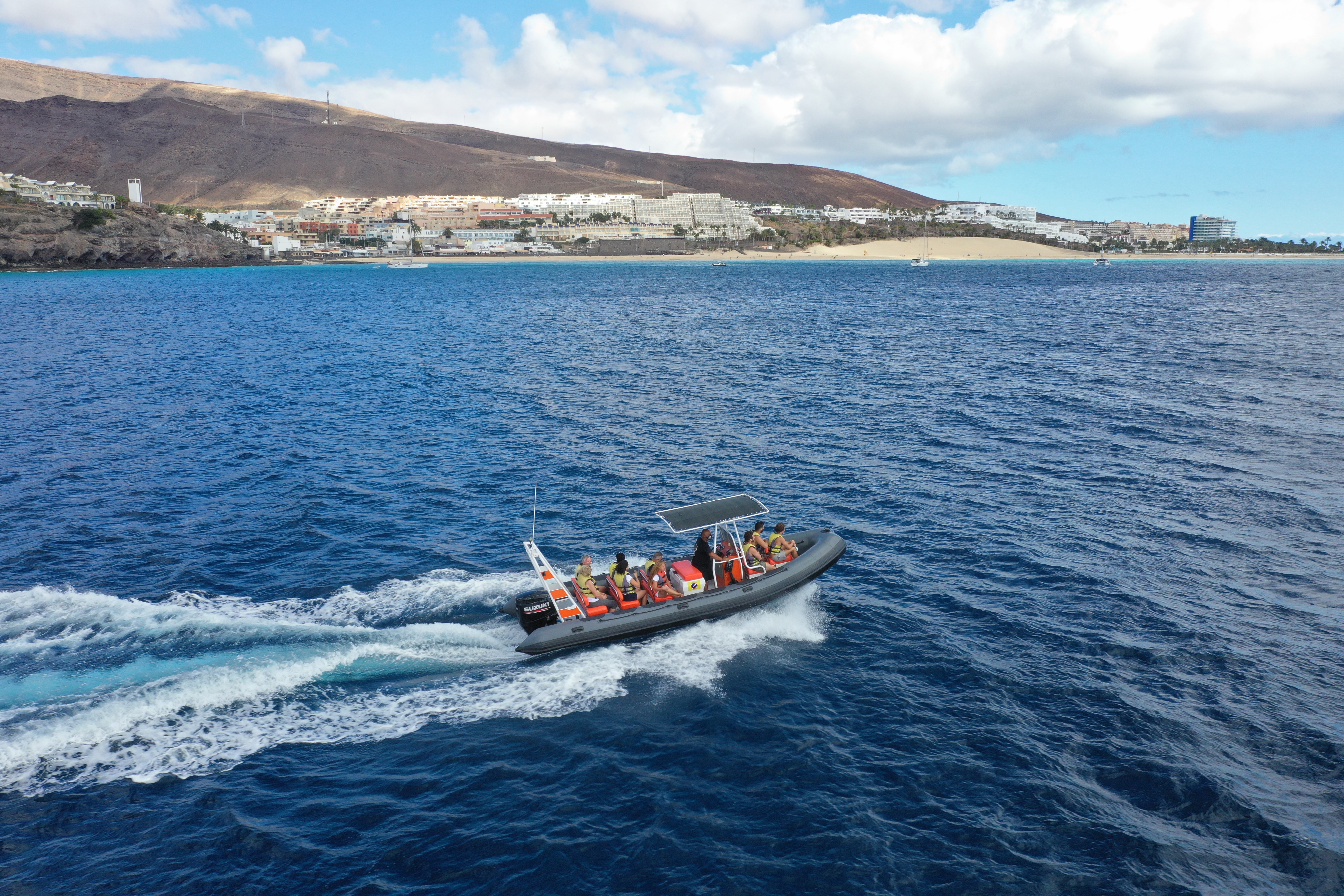 Avistamiento de delfines y ballenas en lancha rápida, costa de Jandía