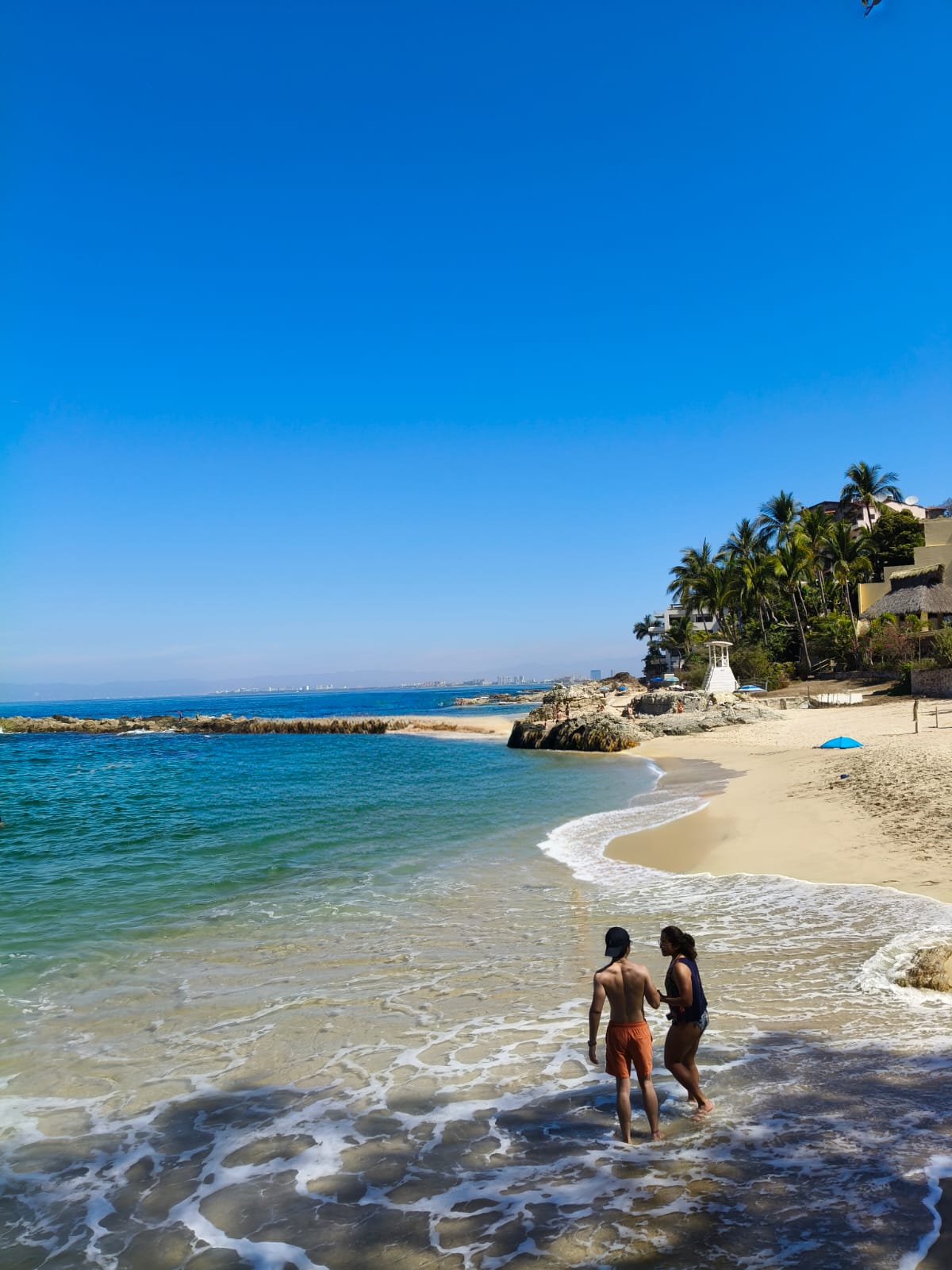 Desde Puerto Vallarta Tour Playa, Tequila y Rio 4